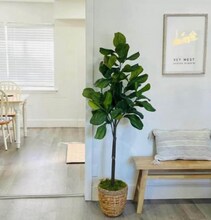 2604 Dauphin St in Mobile, AL - Building Photo - Building Photo