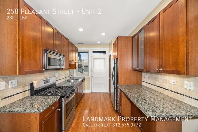 258 Pleasant St in Oak Park, IL - Building Photo - Building Photo