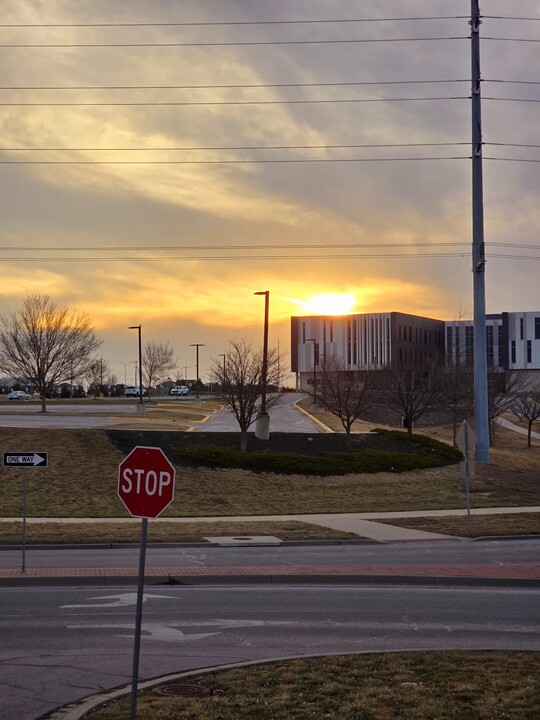 280 N Hedge Ln in Olathe, KS - Building Photo