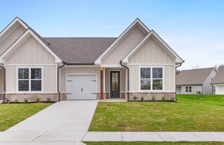 8782 James Crk Dr in Ooltewah, TN - Building Photo