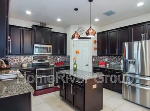 10411 Flagstaff Falls Ave in Riverview, FL - Building Photo - Building Photo