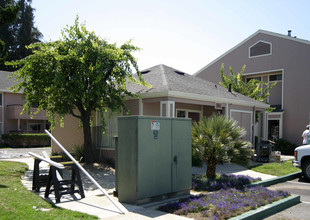 Central Park Condominiums in Fremont, CA - Building Photo - Building Photo