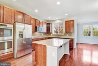 24803 Mason Dale Terrace in Chantilly, VA - Building Photo - Building Photo