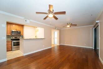 6 Alcira Ct in St. Augustine, FL - Building Photo - Building Photo
