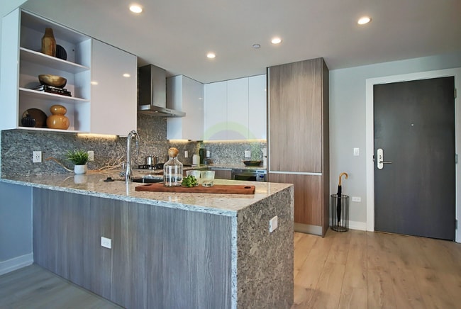 218 W Hill St in Chicago, IL - Building Photo - Building Photo