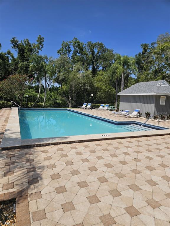 339 Petrea Dr in Palm Harbor, FL - Building Photo - Building Photo