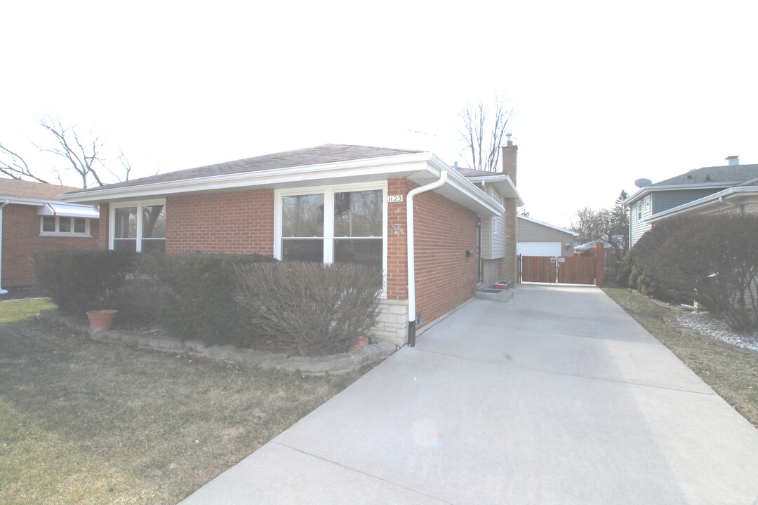 1123 Ridge Rd in Homewood, IL - Building Photo