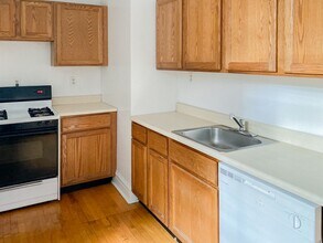 1456 W Cornelia Ave, Unit 3 in Chicago, IL - Building Photo - Building Photo