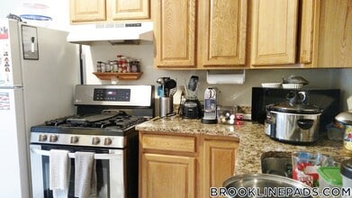 127 Brook St in Brookline, MA - Foto de edificio - Building Photo