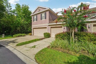 10110 Tranquility Way in Tampa, FL - Building Photo - Building Photo