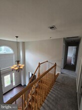 20306 Baymeadow Ct in Ashburn, VA - Building Photo - Building Photo