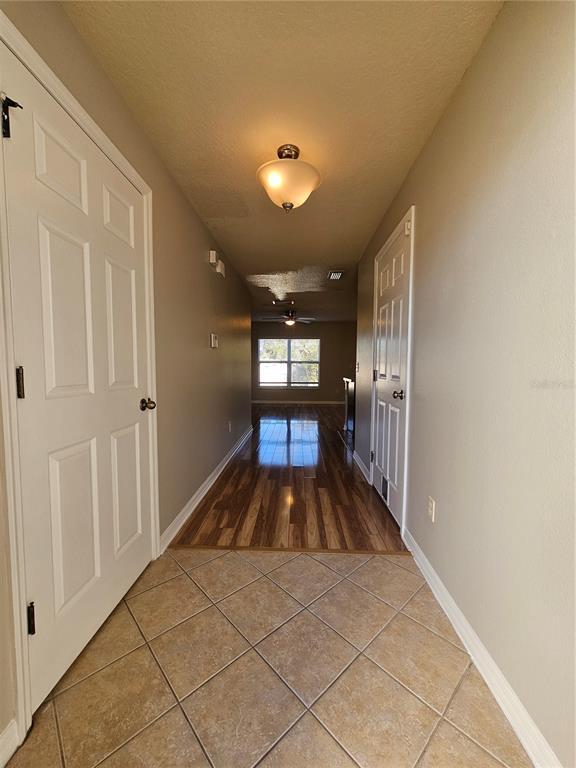 2954 Willowleaf Ln in Wesley Chapel, FL - Building Photo - Building Photo