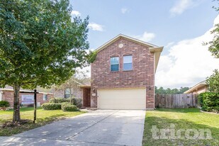 32331 Hunter Park Ct in Conroe, TX - Building Photo
