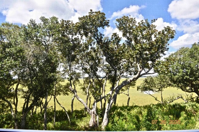 215 S Ocean Grande Dr in Ponte Vedra, FL - Building Photo - Building Photo