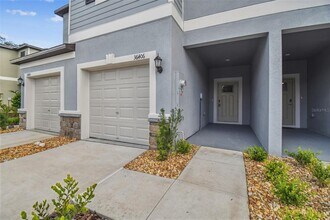 36406 Well Hill Wy in Zephyrhills, FL - Foto de edificio - Building Photo