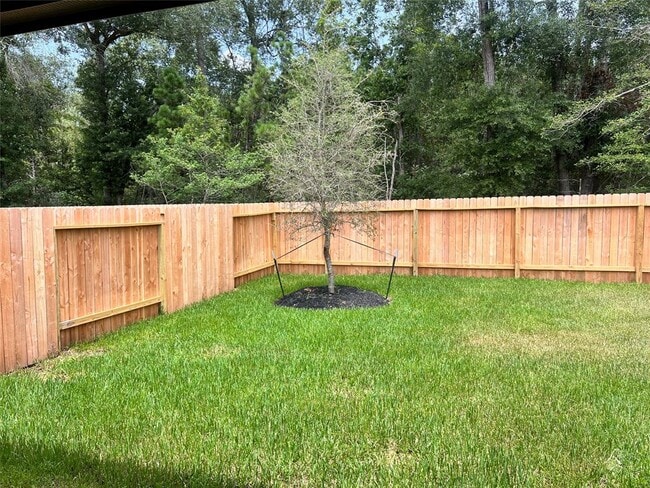 522 Belle Spgs Ln in Conroe, TX - Building Photo - Building Photo