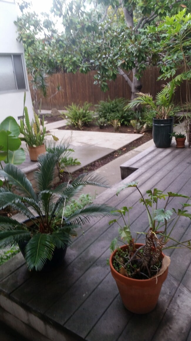 827 Bay St, Unit 3 in Santa Monica, CA - Building Photo - Building Photo