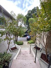 1242 Susana Street in Martinez, CA - Building Photo - Building Photo