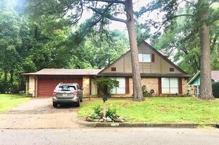 3127 Andy Ln in Tyler, TX - Building Photo