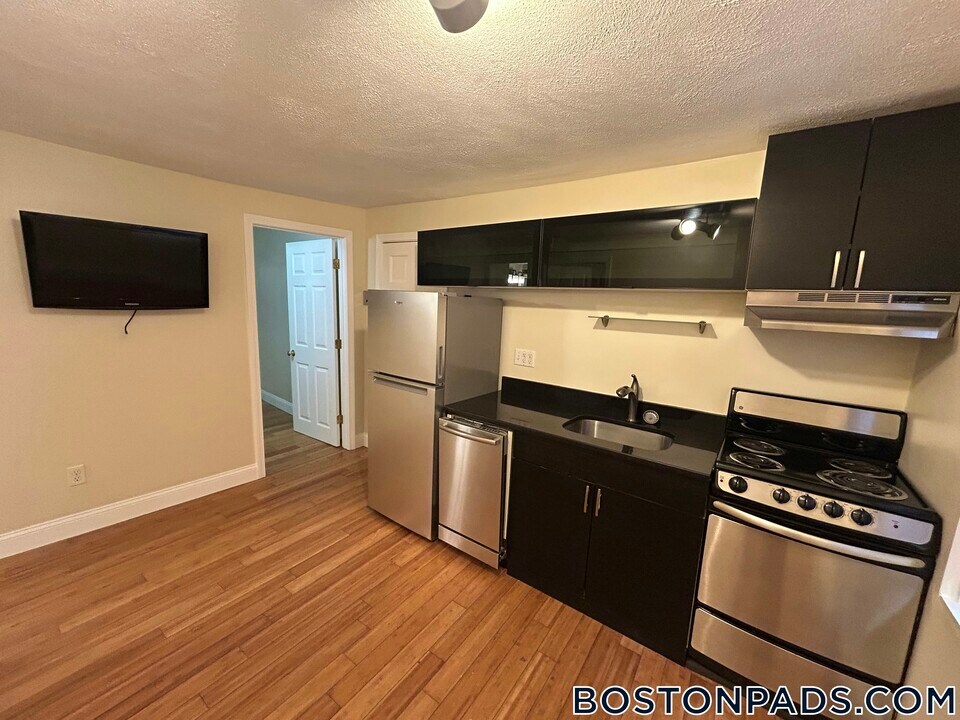 20 Bartlett Pl in Boston, MA - Building Photo