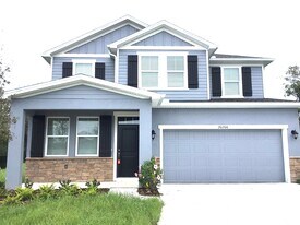 20200 Calla Lily Dr in Land O Lakes, FL - Building Photo
