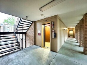 4641 Wild Indigo St in Houston, TX - Building Photo - Building Photo