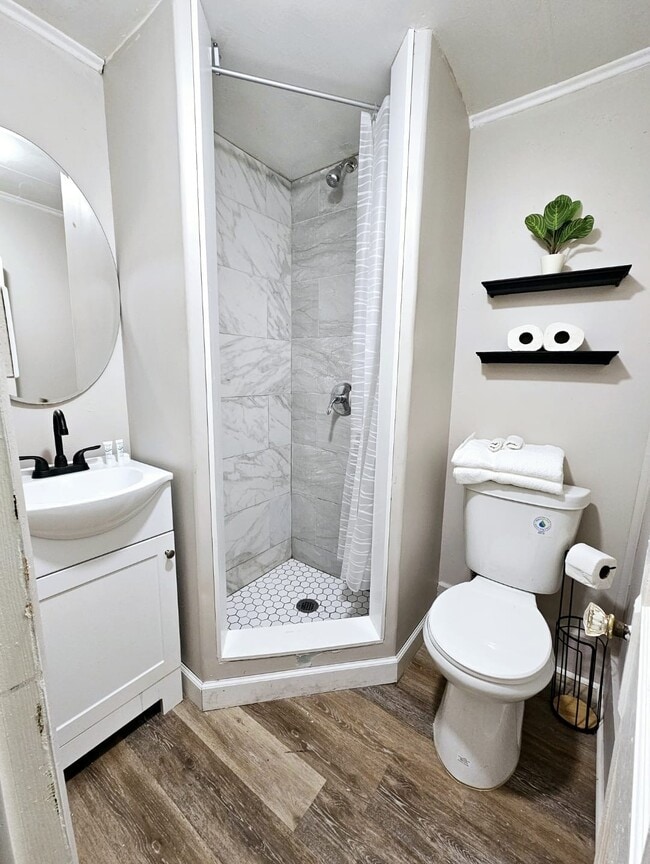 312 Centre St in Ashland, PA - Building Photo - Building Photo