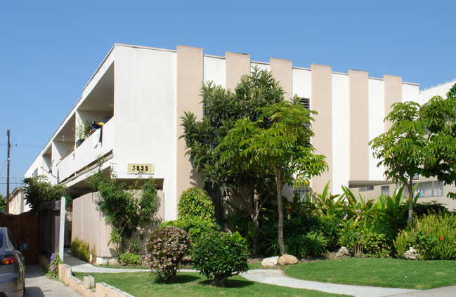 3533 Mentone Ave in Los Angeles, CA - Foto de edificio - Building Photo