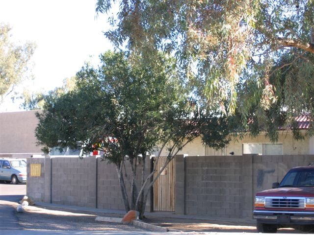 2744 E Tierra Buena Ln in Phoenix, AZ - Foto de edificio - Building Photo