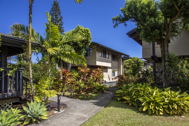 3920 Wyllie Rd in Princeville, HI - Foto de edificio - Building Photo