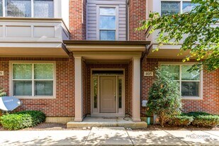 405 Alpine Springs Dr in Vernon Hills, IL - Building Photo