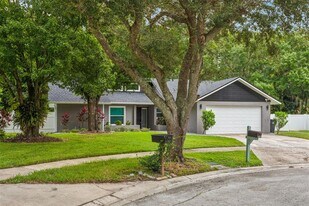 4401 Summer Oak Dr in Tampa, FL - Building Photo