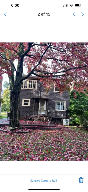 1175 Pomona Rd in Cleveland Heights, OH - Building Photo - Building Photo