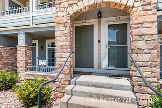 452 Black Feather Loop in Castle Rock, CO - Building Photo - Building Photo