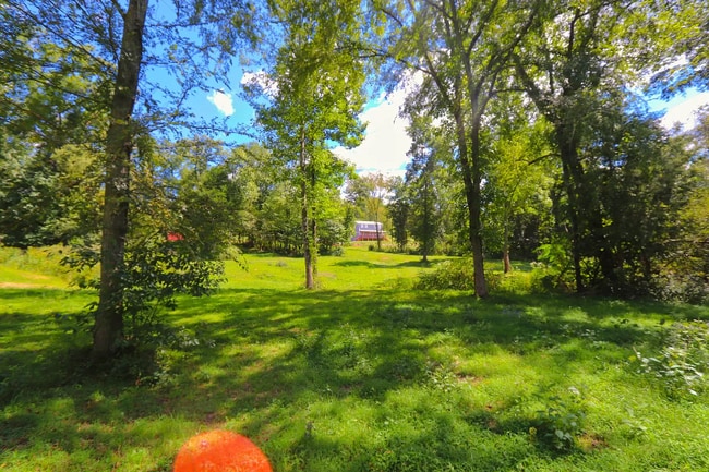 333 Little Salt Lick Rd in Pleasant Shade, TN - Building Photo - Building Photo