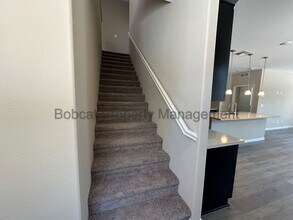 1021 Home Stretch Ln in Minden, NV - Building Photo - Building Photo