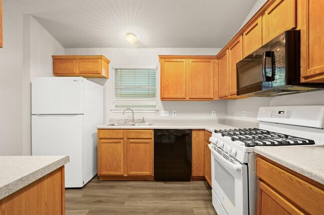 1609 Hueco Mountain Trail in Round Rock, TX - Building Photo - Building Photo