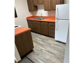 102 Madison Ave N in Battle Lake, MN - Foto de edificio - Building Photo