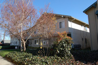 Brentwood Apartments in Santa Clara, CA - Foto de edificio - Building Photo