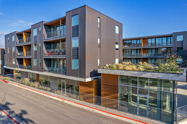 The 900 Condos of Austin in Austin, TX - Building Photo - Building Photo