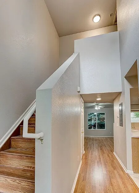 6615 Desert Willow Way in Fort Collins, CO - Building Photo