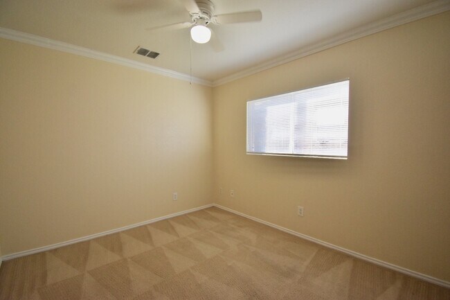120 Tower Bluff in Cibolo, TX - Building Photo - Building Photo