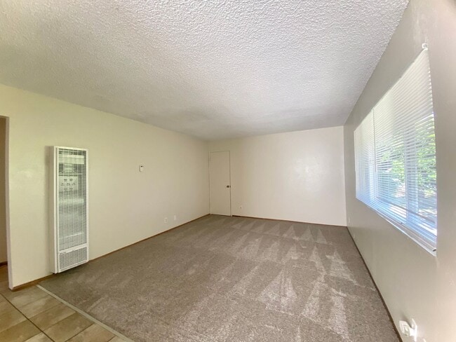 33935 13th St in Union City, CA - Foto de edificio - Building Photo