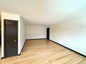 424 Elgin Ave in Forest Park, IL - Foto de edificio - Building Photo