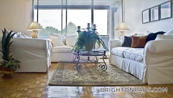 125 Chiswick Rd, Unit 414 in Boston, MA - Foto de edificio - Building Photo