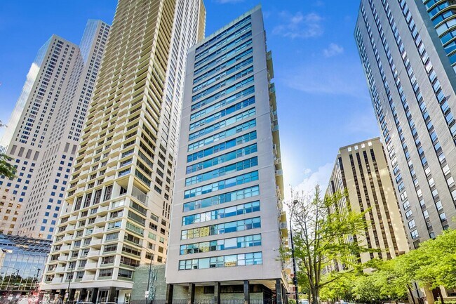 1000 N Lake Shore Dr-Unit -409 in Chicago, IL - Building Photo - Building Photo