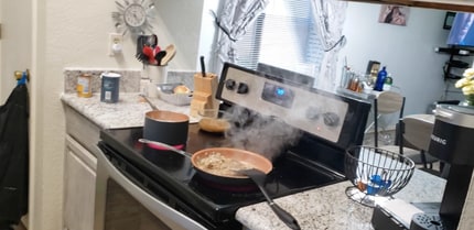 1717 Dynasty Dr in Glenn Heights, TX - Building Photo - Building Photo