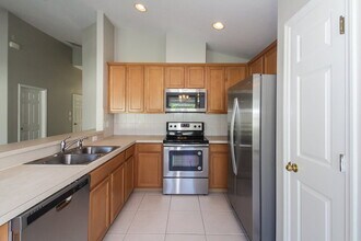 10313 Celtic Ash Dr in Ruskin, FL - Building Photo - Building Photo