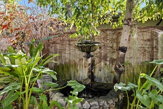 1511 Bluebird Canyon Dr in Laguna Beach, CA - Building Photo - Building Photo