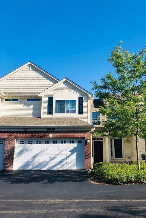 9859 Williams Dr in Huntley, IL - Building Photo